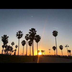 Meet your Posher, Carmen